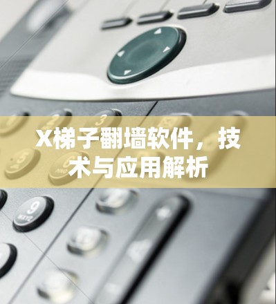 X梯子翻墙软件，技术与应用解析