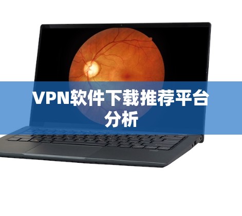 VPN软件下载推荐平台分析