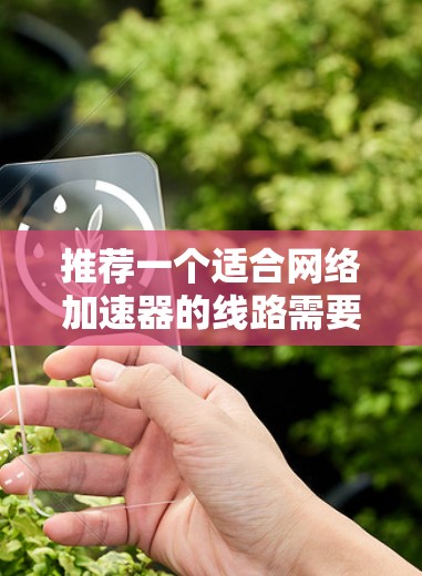 推荐一个适合网络加速器的线路需要综合考虑多个因素，以下是一个有条理的建议