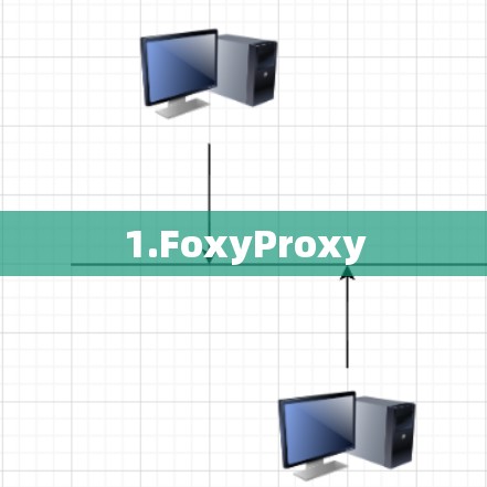 1.FoxyProxy 1.FoxyProxy