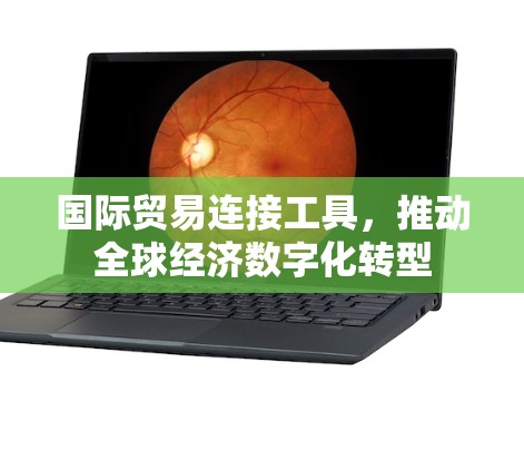 国际贸易连接工具,推动全球经济数字化转型 国际贸易连接工具,推动全球经济数字化转型