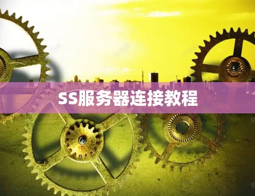 SS服务器连接教程