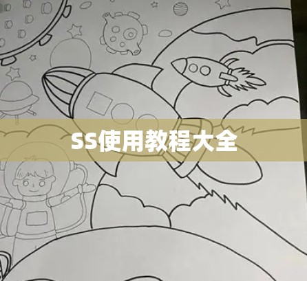 SS使用教程大全 SS使用教程大全