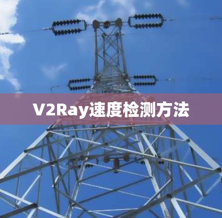 V2Ray速度检测方法 V2Ray速度检测方法