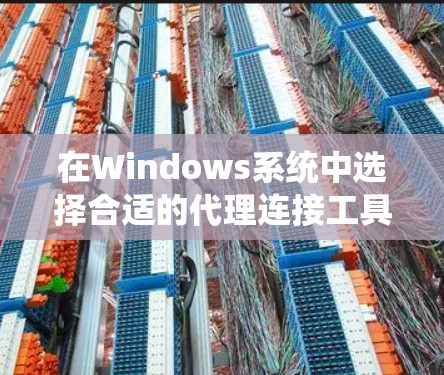 在Windows系统中选择合适的代理连接工具时，可以根据具体需求和使用场景来决定。以下是一些常用的工具及其使用案例