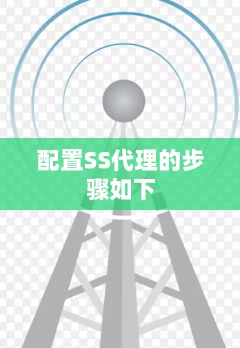 配置SS代理的步骤如下