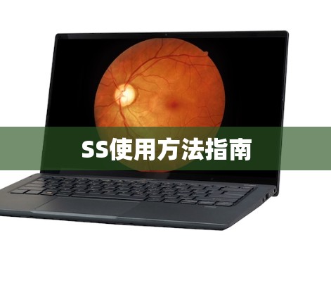 SS使用方法指南 SS使用方法指南