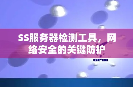 SS服务器检测工具，网络安全的关键防护