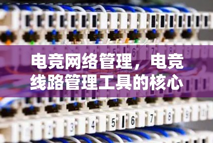 电竞网络管理,电竞线路管理工具的核心作用 电竞网络管理,电竞线路管理工具的核心作用