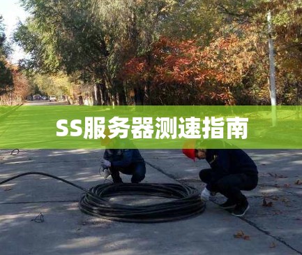 SS服务器测速指南 SS服务器测速指南