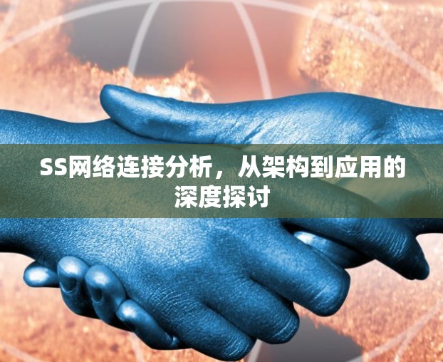 SS网络连接分析,从架构到应用的深度探讨 SS网络连接分析,从架构到应用的深度探讨
