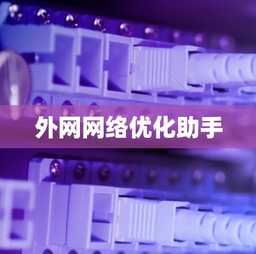 外网网络优化助手 外网网络优化助手