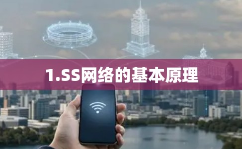 1.SS网络的基本原理 1.SS网络的基本原理