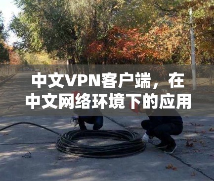 中文VPN客户端,在中文网络环境下的应用与优化 中文VPN客户端,在中文网络环境下的应用与优化