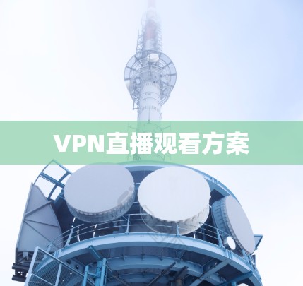 VPN直播观看方案