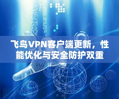 飞鸟VPN客户端更新,性能优化与安全防护双重提升 飞鸟VPN客户端更新,性能优化与安全防护双重提升