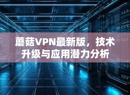 蘑菇VPN最新版，技术升级与应用潜力分析