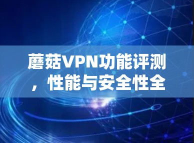 蘑菇VPN功能评测，性能与安全性全面解析