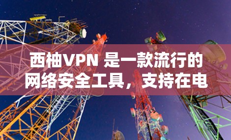 西柚VPN 是一款流行的网络安全工具，支持在电脑上使用。以下是使用西柚VPN电脑版的基本步骤