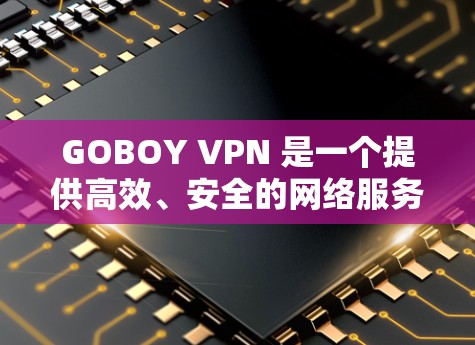 GOBOY VPN 是一个提供高效、安全的网络服务的应用程序，主要用于身份验证和数据加密，以保护用户隐私。以下是对 GOBOY VPN 安卓应用的详细分析