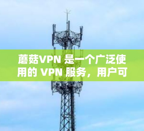 蘑菇VPN 是一个广泛使用的 VPN 服务，用户可以通过电脑端客户端进行配置和使用。以下是关于蘑菇VPN 电脑端的一些常见操作和信息