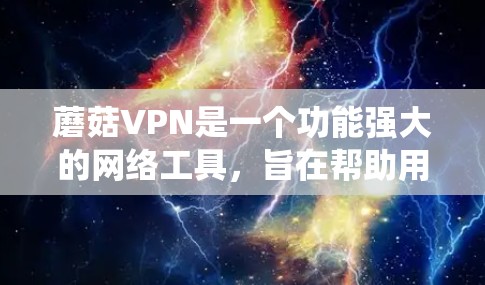 蘑菇VPN是一个功能强大的网络工具，旨在帮助用户保护隐私、绕过网络限制并确保安全。以下是其主要功能的详细介绍