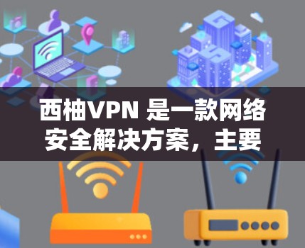 西柚VPN 是一款网络安全解决方案，主要用于为企业或个人提供安全的网络访问渠道。以下是其主要功能说明