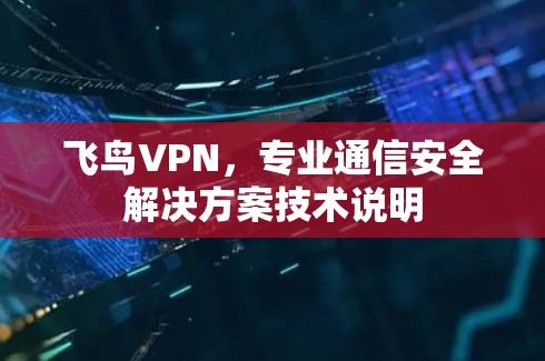 飞鸟VPN，专业通信安全解决方案技术说明