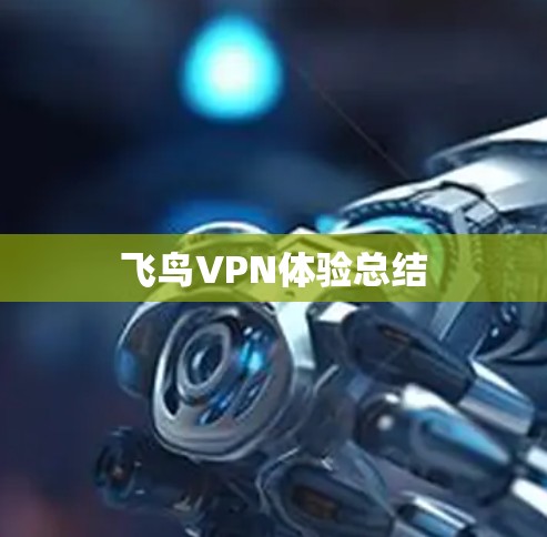 飞鸟VPN体验总结