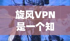 旋风VPN是一个知名的VPN服务提供商,用户分享的体验通常包括以下几个方面 旋风VPN是一个知名的VPN服务提供商,用户分享的体验通常包括以下几个方面