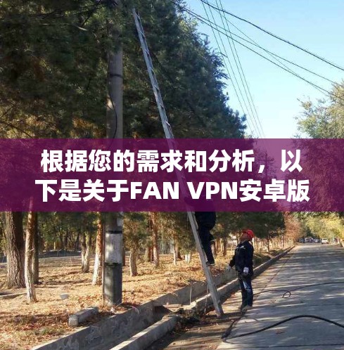 根据您的需求和分析，以下是关于FAN VPN安卓版本的详细步骤指南
