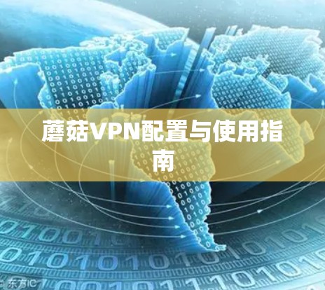 蘑菇VPN配置与使用指南 蘑菇VPN配置与使用指南