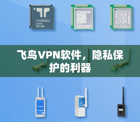 飞鸟VPN软件，隐私保护的利器