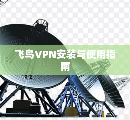 飞鸟VPN安装与使用指南