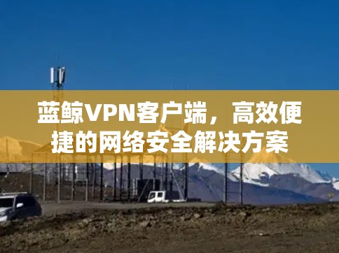 蓝鲸VPN客户端,高效便捷的网络安全解决方案 蓝鲸VPN客户端,高效便捷的网络安全解决方案