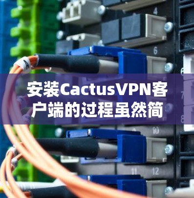 安装CactusVPN客户端的过程虽然简单,但为了确保顺利完成,请按照以下步骤操作 安装CactusVPN客户端的过程虽然简单,但为了确保顺利完成,请按照以下步骤操作