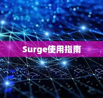 Surge使用指南 Surge使用指南