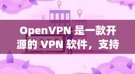 OpenVPN 是一款开源的 VPN 软件，支持在多种操作系统上运行，包括 Windows、Mac 和 Linux。以下是 OpenVPN 在 电脑 上 的 主要 版本 和 配置 信息