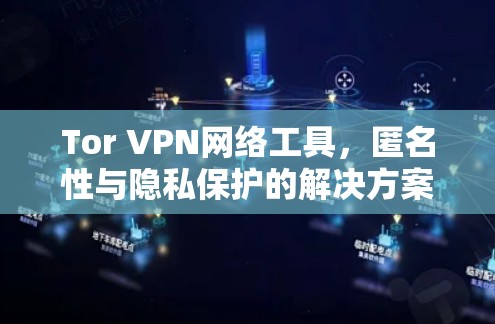 Tor VPN网络工具，匿名性与隐私保护的解决方案