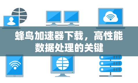 蜂鸟加速器下载,高性能数据处理的关键 蜂鸟加速器下载,高性能数据处理的关键