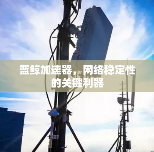 蓝鲸加速器，网络稳定性的关键利器