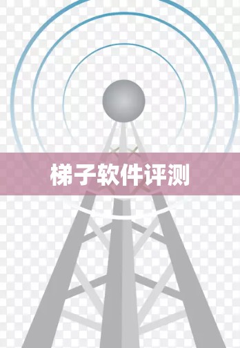梯子软件评测
