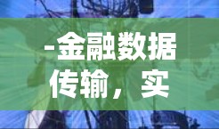 -金融数据传输,实时处理交易数据,确保交易速度和稳定性 -金融数据传输,实时处理交易数据,确保交易速度和稳定性