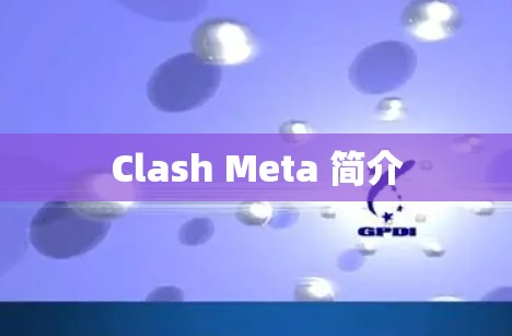 Clash Meta 简介