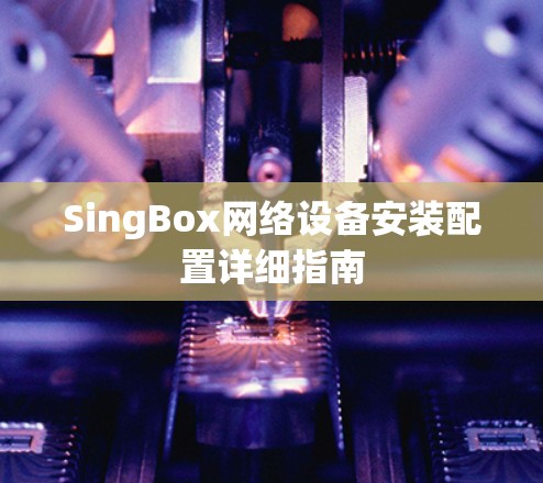 SingBox网络设备安装配置详细指南 SingBox网络设备安装配置详细指南