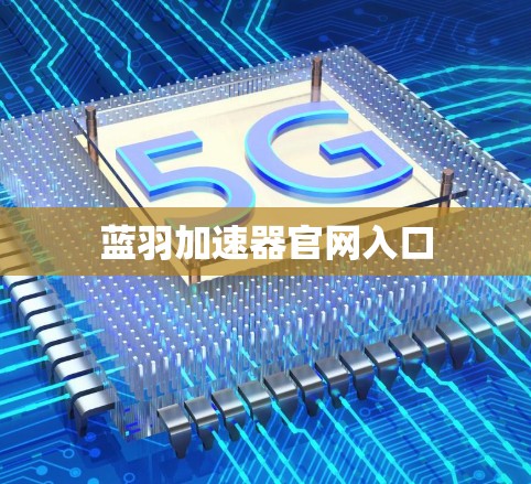 蓝羽加速器官网入口